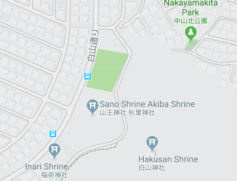 f:id:hakusanoste:20200105211547p:plain
