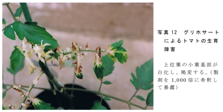 f:id:hakusanoste:20200425120519p:plain