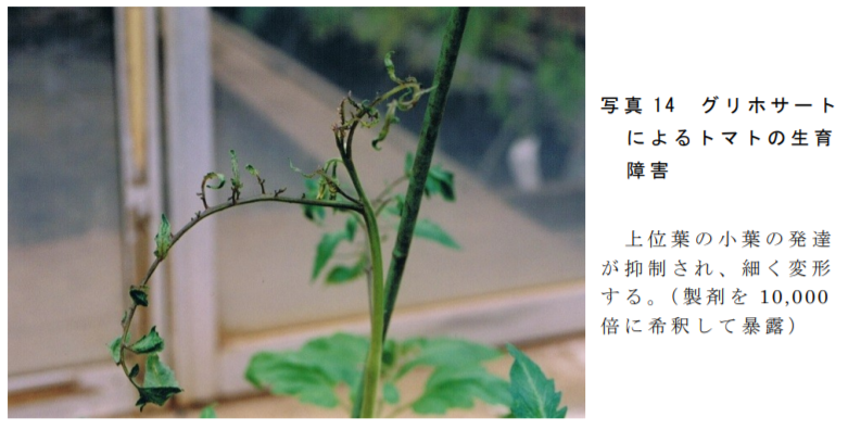 f:id:hakusanoste:20200425120557p:plain