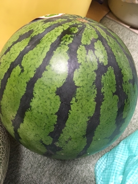 f:id:hakusanoste:20210614091915j:plain