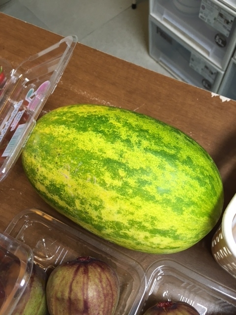 f:id:hakusanoste:20210614091944j:plain