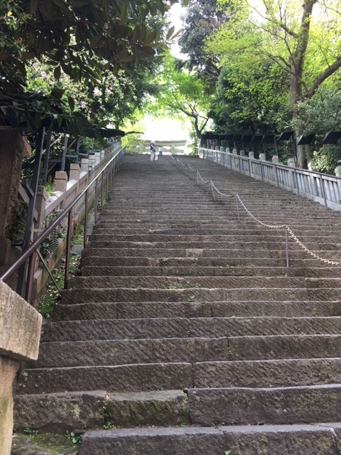 f:id:hakusanoste:20220414115831j:plain