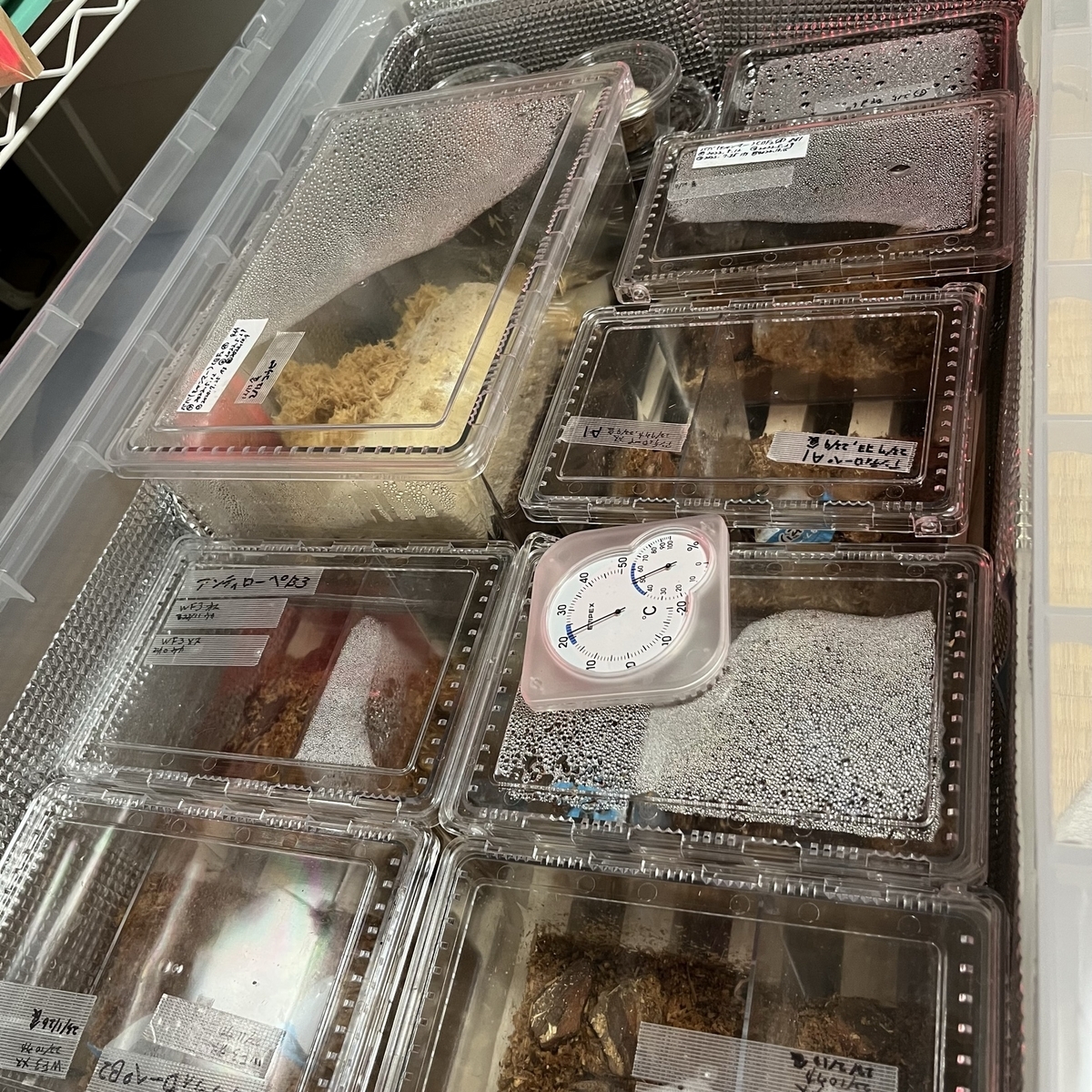 コバエシャッター クリアスライダー まとめ売り クリアスライダー小18