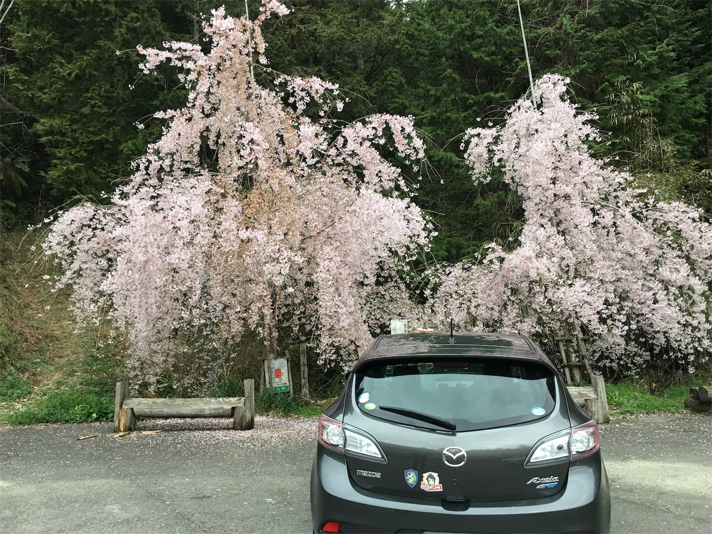 f:id:hakushinrikyo:20170409214943j:image f:id:hakushinrikyo:20170409214943j:image