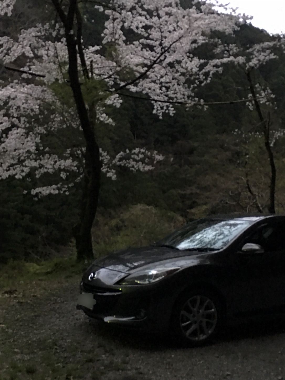 f:id:hakushinrikyo:20170409215507j:image f:id:hakushinrikyo:20170409215507j:image