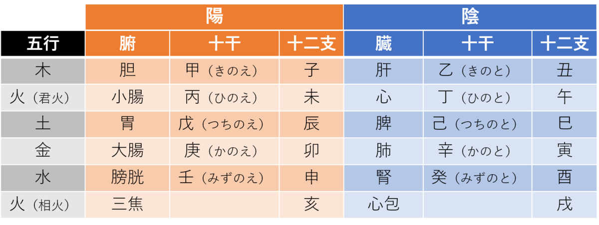 陰陽五行説と臓腑 京都東山三条 白澤堂ブログ 東洋の医学と哲学