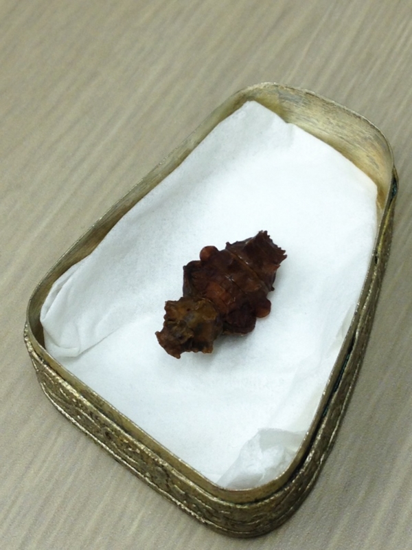 f:id:hakutakusha:20150731204050j:image:w360:right