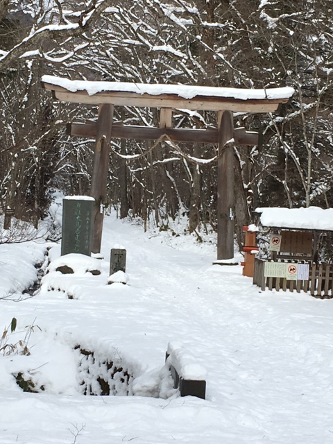 f:id:hakutakusha:20161213095553j:image:w360:right