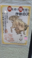 20170208170800
