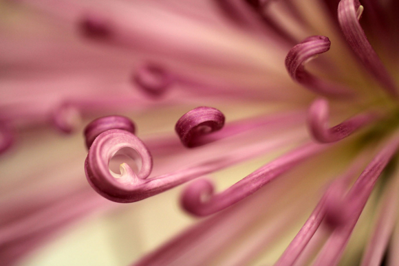 f:id:hakute03:20101103104326j:image