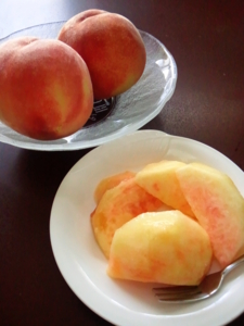f:id:hakutou-a-since2004:20140819155554j:image