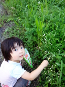 f:id:hakutou-a-since2004:20140913141417j:image f:id:hakutou-a-since2004:20140913141417j:image