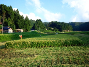 f:id:hakutou-a-since2004:20140913141420j:image f:id:hakutou-a-since2004:20140913141420j:image