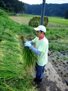 f:id:hakutou-a-since2004:20140913141429j:image f:id:hakutou-a-since2004:20140913141429j:image