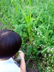 f:id:hakutou-a-since2004:20140913141531j:image f:id:hakutou-a-since2004:20140913141531j:image