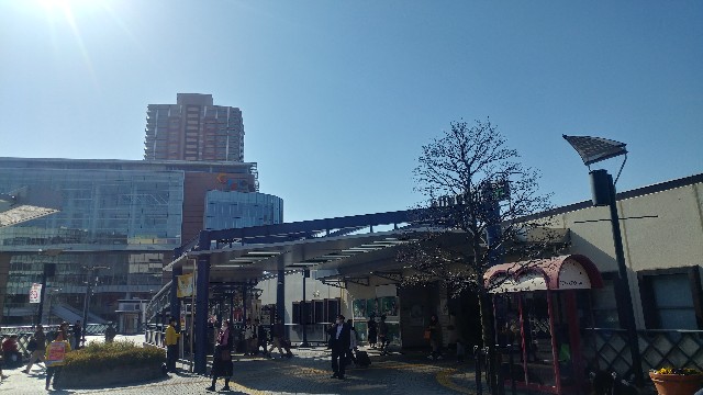 f:id:hakutsu55:20200223203834j:image f:id:hakutsu55:20200223203834j:image