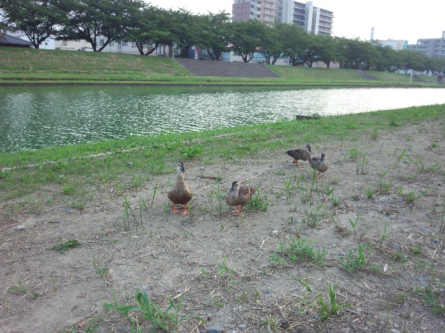 f:id:hakutsu55:20200308165111j:image f:id:hakutsu55:20200308165111j:image
