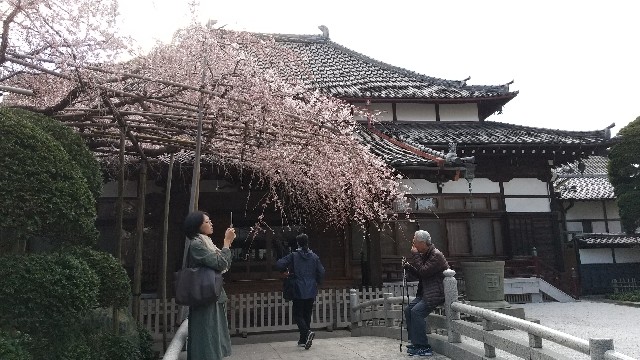 f:id:hakutsu55:20200315202533j:image f:id:hakutsu55:20200315202533j:image