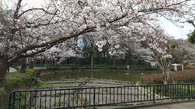 f:id:hakutsu55:20200323200012j:image f:id:hakutsu55:20200323200012j:image