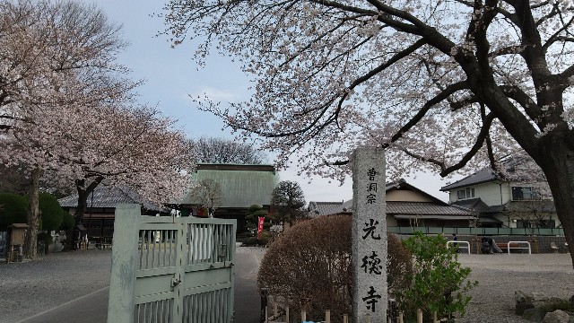 f:id:hakutsu55:20200323200038j:image f:id:hakutsu55:20200323200038j:image