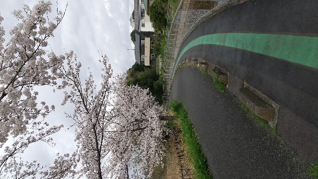 f:id:hakutsu55:20200323200141j:image f:id:hakutsu55:20200323200141j:image