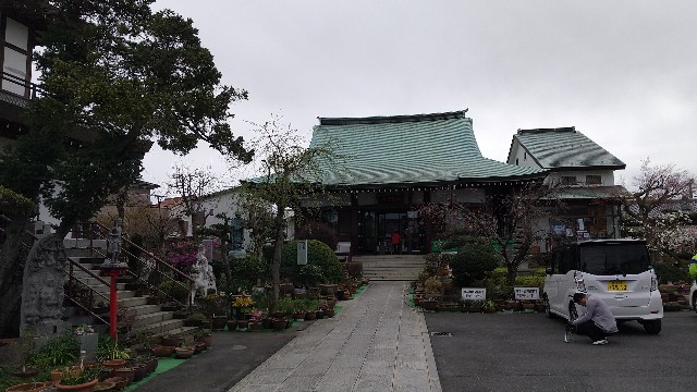 f:id:hakutsu55:20200323200223j:image f:id:hakutsu55:20200323200223j:image