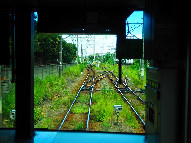 f:id:hakutsuru583:20190821215005j:plain