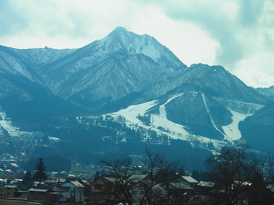f:id:hakutsuru583:20200331203824j:plain