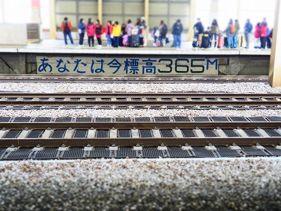 f:id:hakutsuru583:20200402200241j:plain