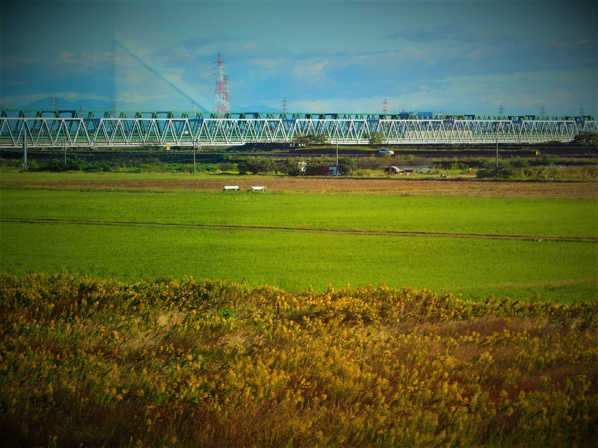 f:id:hakutsuru583:20200420195318j:plain