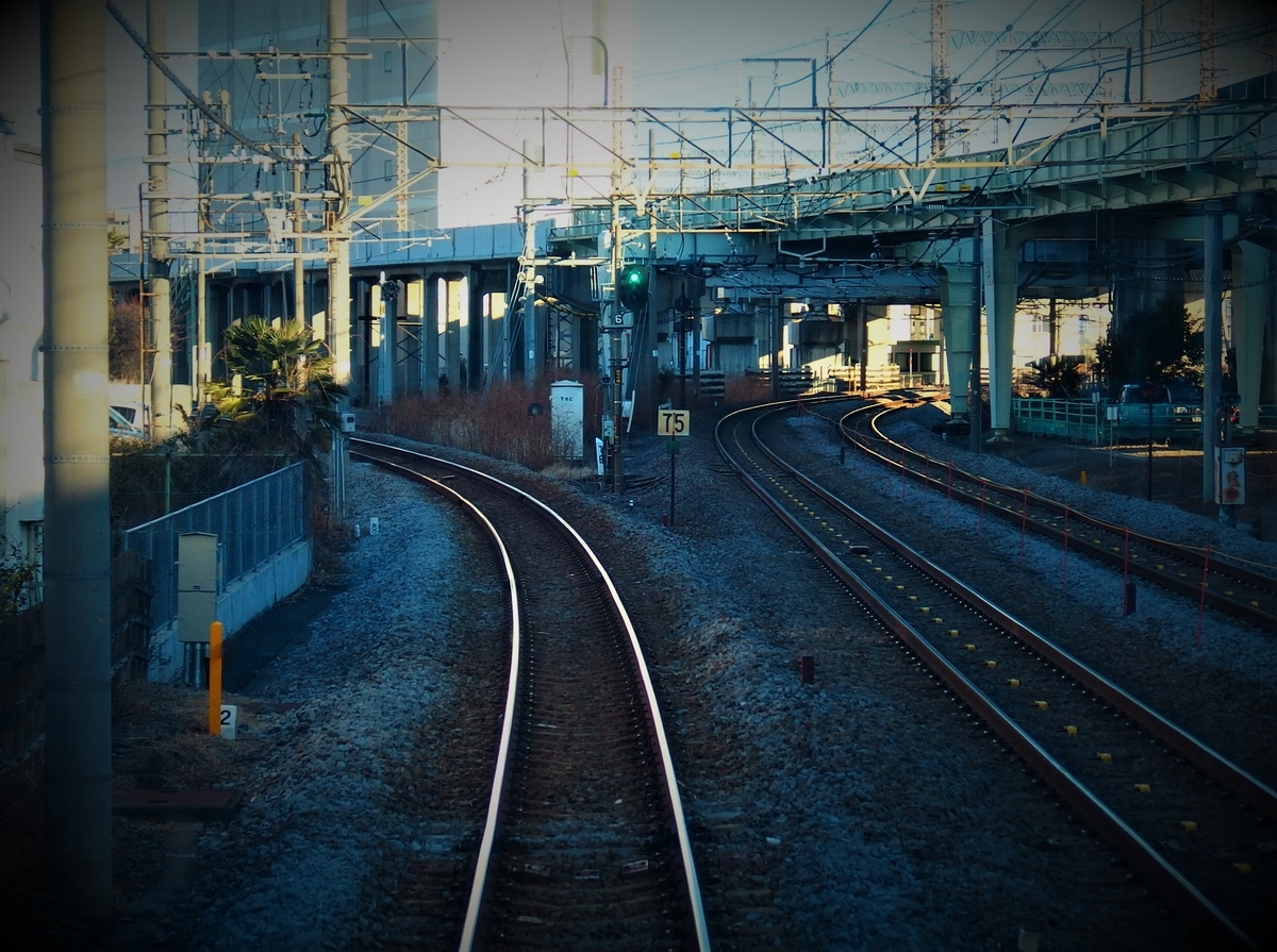 f:id:hakutsuru583:20200424215229j:plain