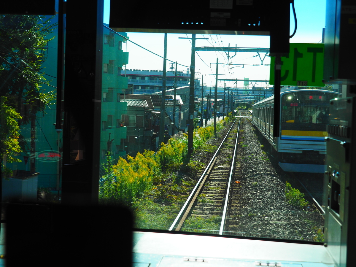 f:id:hakutsuru583:20201117204846j:plain