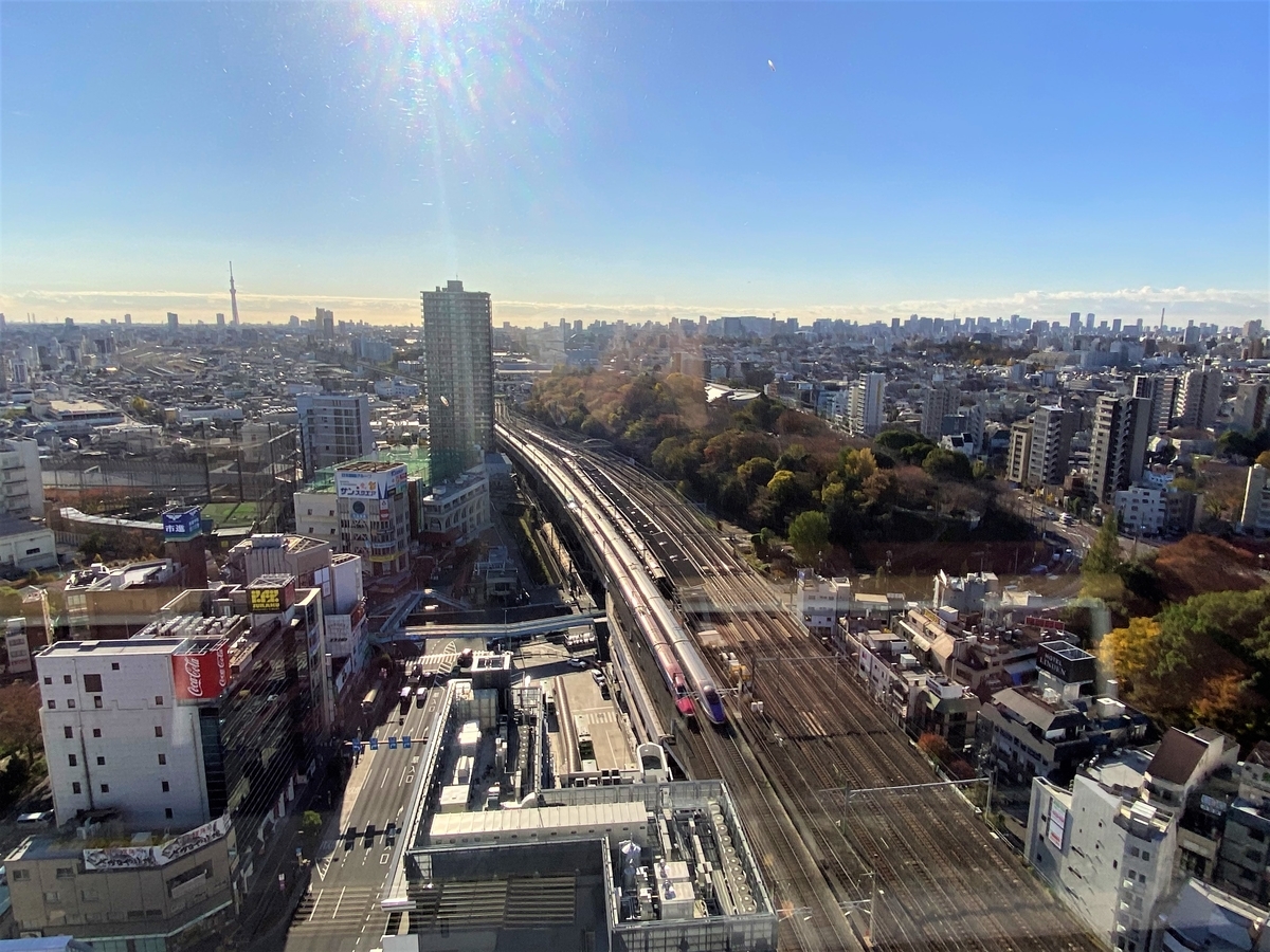 f:id:hakutsuru583:20201123091509j:plain