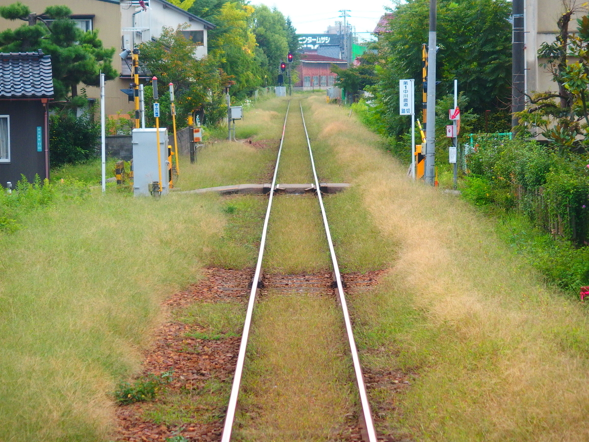 f:id:hakutsuru583:20201206175758j:plain