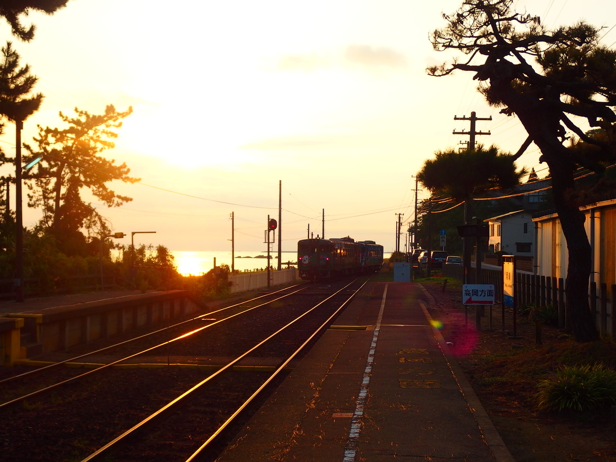 f:id:hakutsuru583:20201211213748j:plain