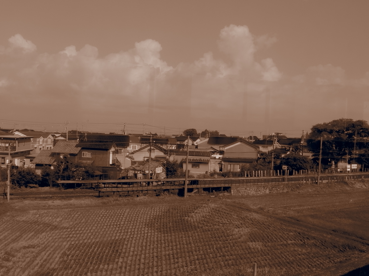 f:id:hakutsuru583:20201230101516j:plain