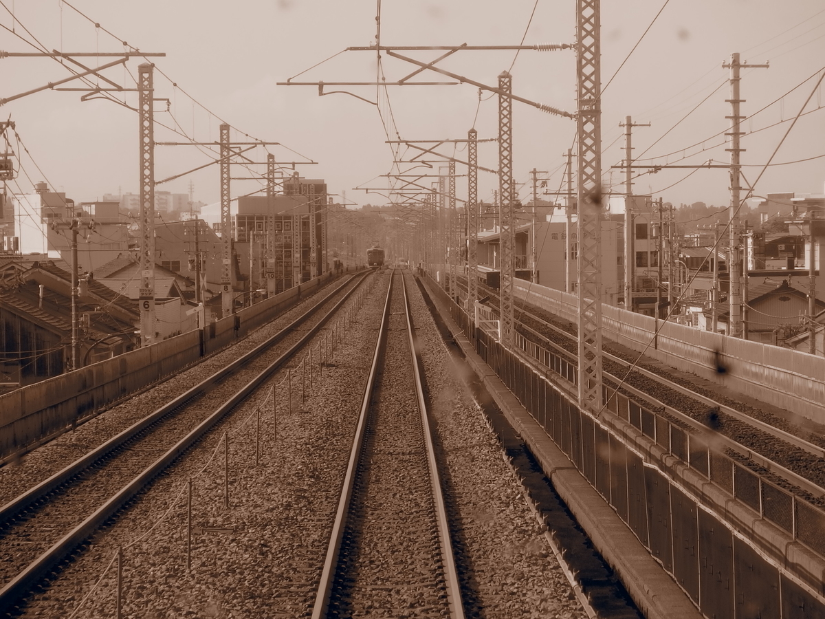 f:id:hakutsuru583:20201230102239j:plain