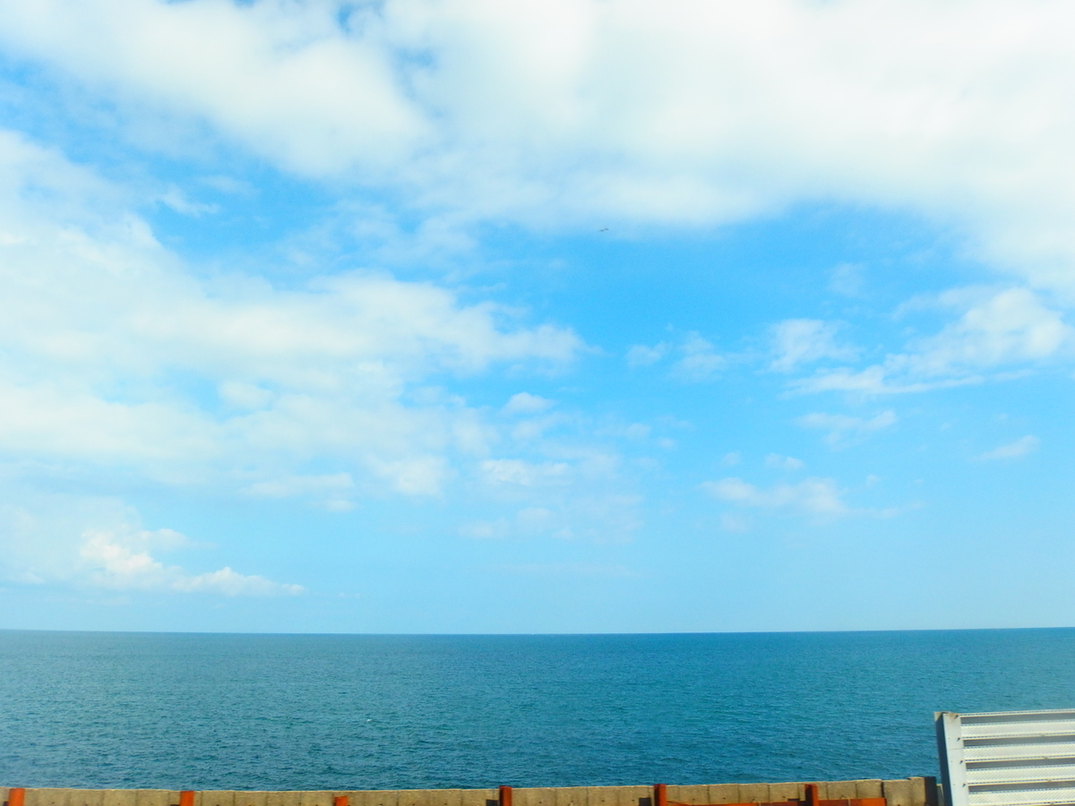 f:id:hakutsuru583:20201230161956j:plain