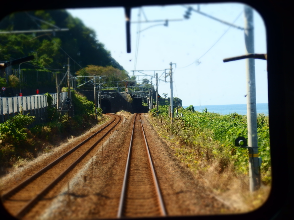 f:id:hakutsuru583:20210107213039j:plain