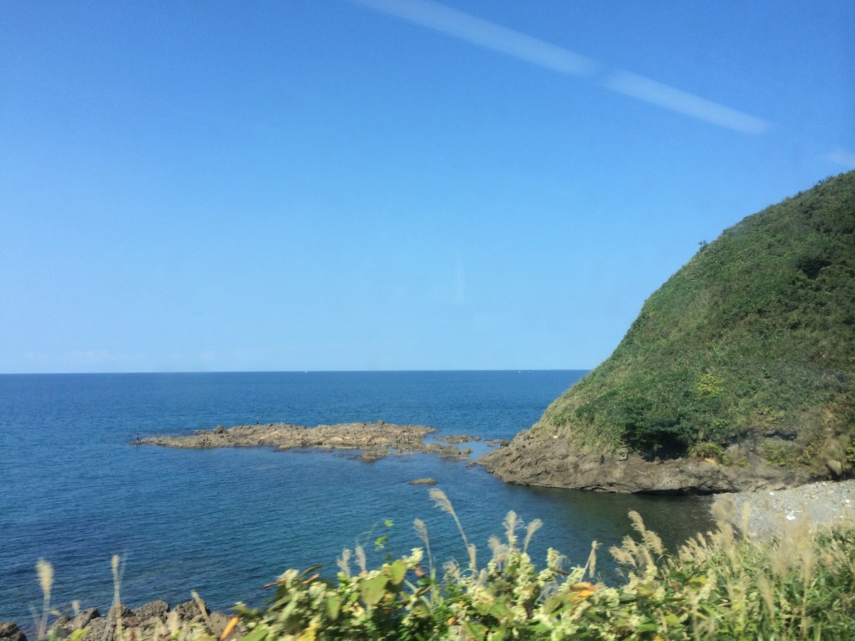 f:id:hakutsuru583:20210112211047j:plain