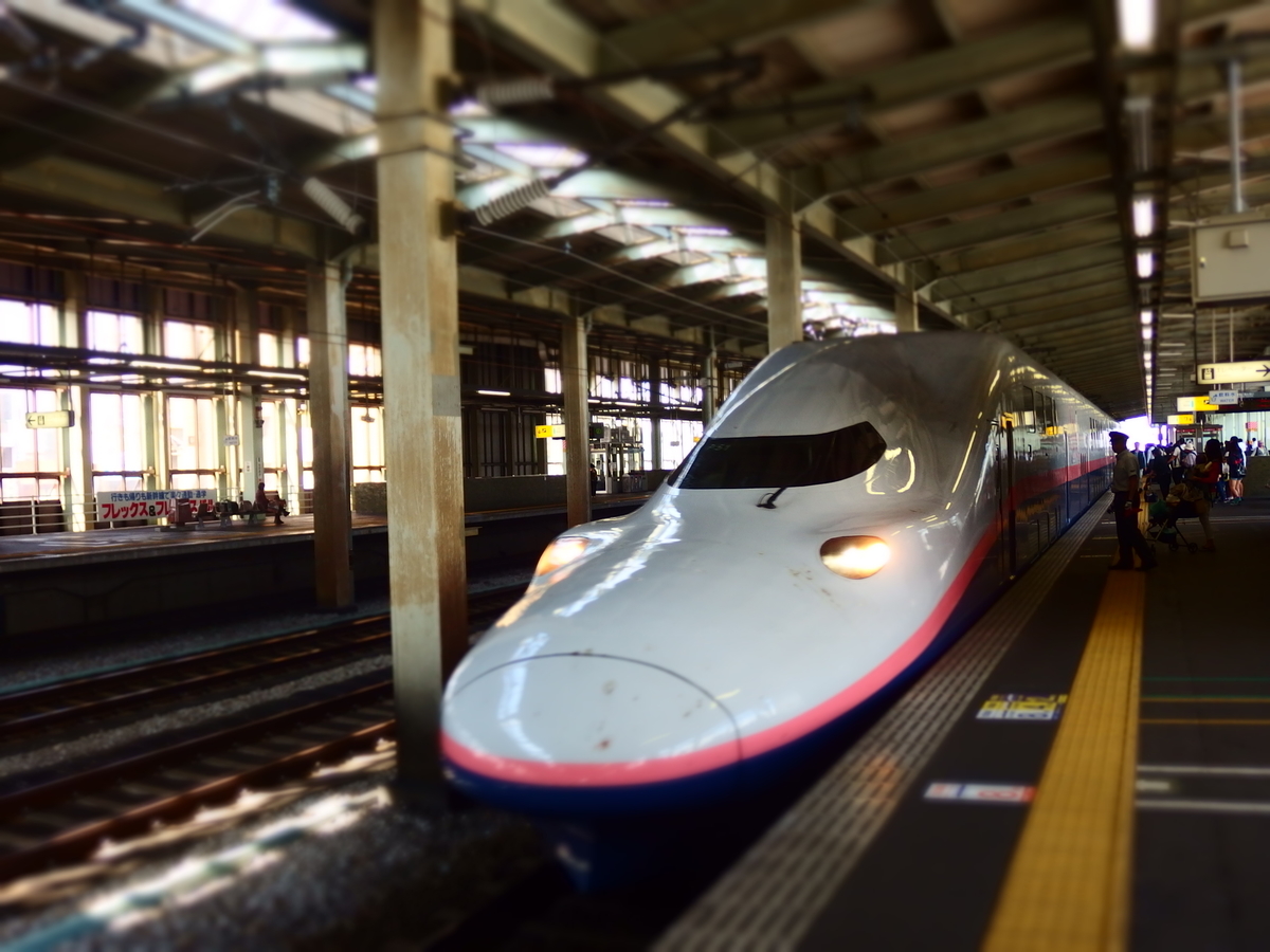f:id:hakutsuru583:20210113204351j:plain