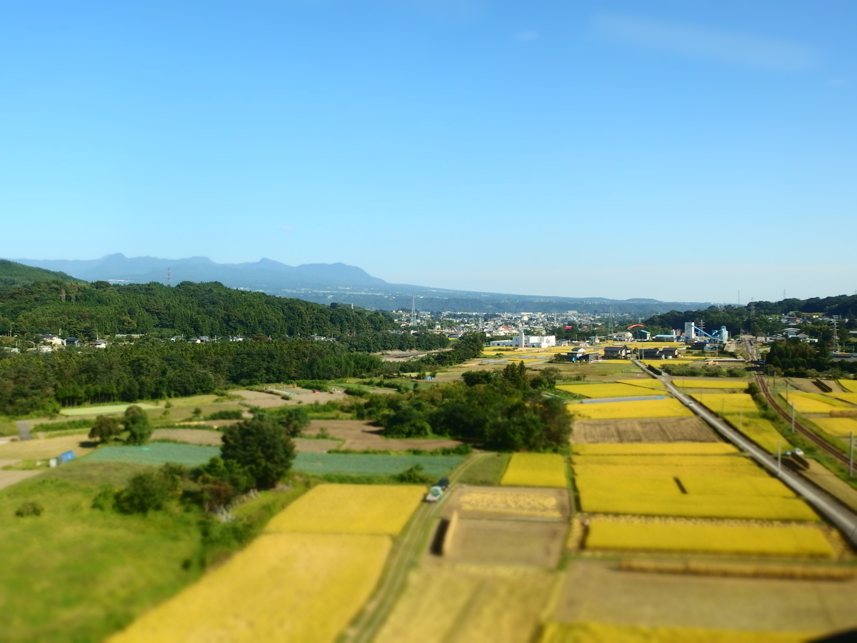 f:id:hakutsuru583:20210113204722j:plain