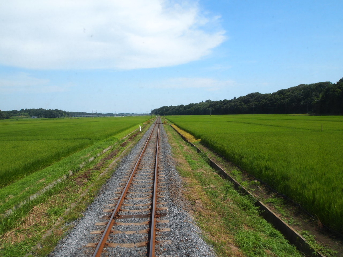 f:id:hakutsuru583:20210124110724j:plain