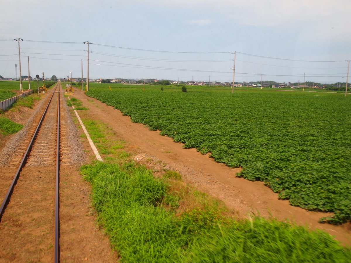 f:id:hakutsuru583:20210124111112j:plain