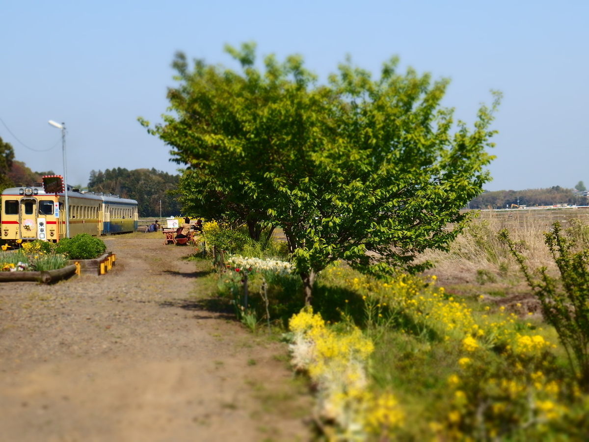 f:id:hakutsuru583:20210203210301j:plain