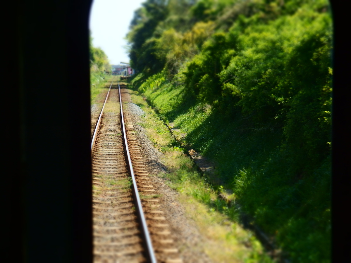 f:id:hakutsuru583:20210205211634j:plain