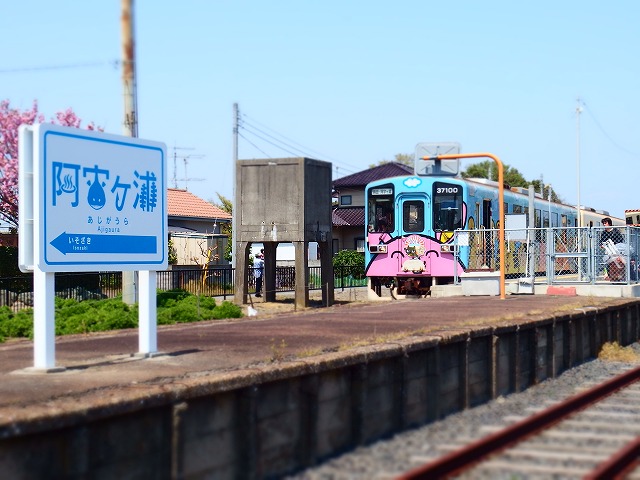 f:id:hakutsuru583:20210210203223j:plain