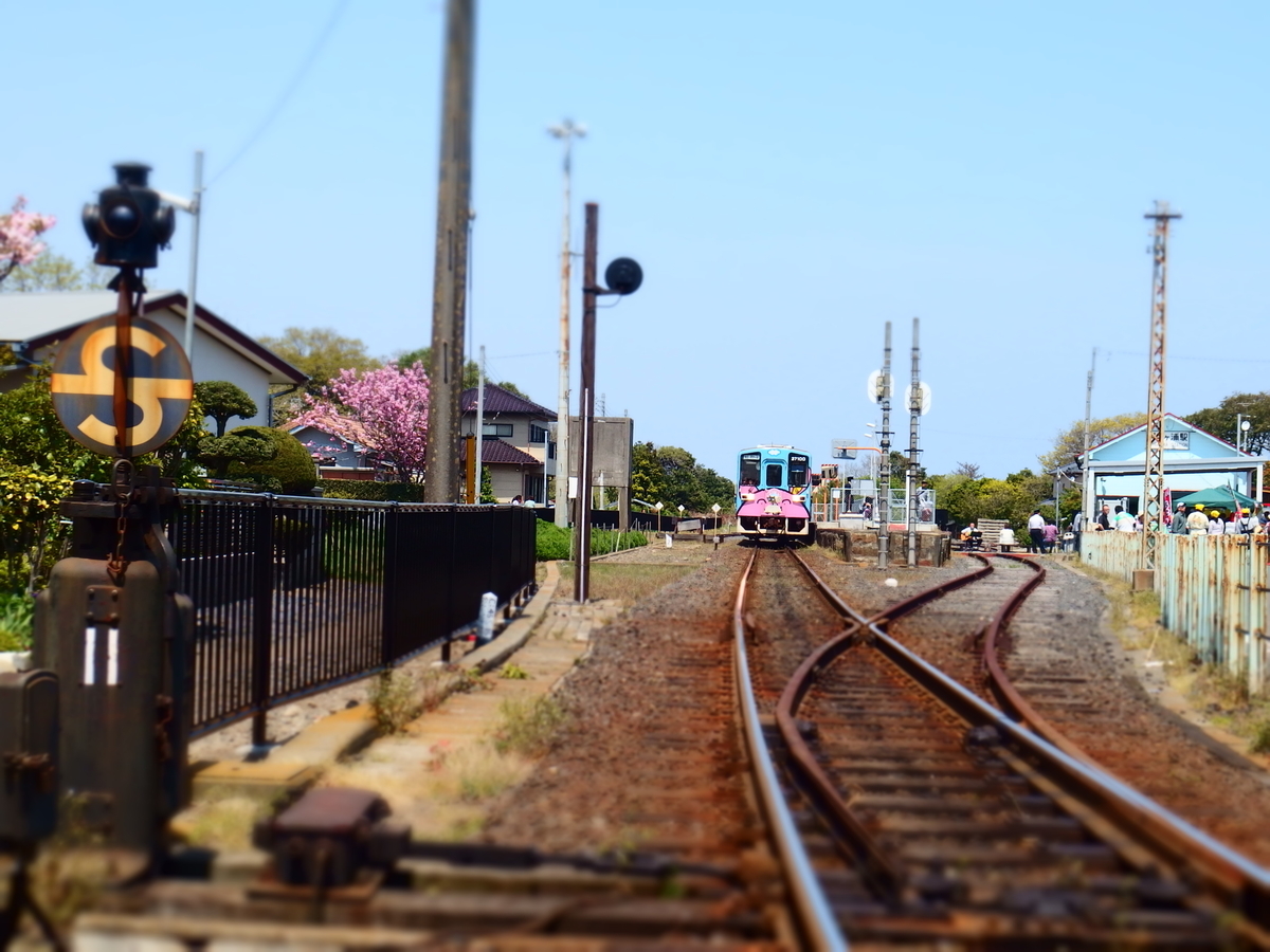 f:id:hakutsuru583:20210210203309j:plain