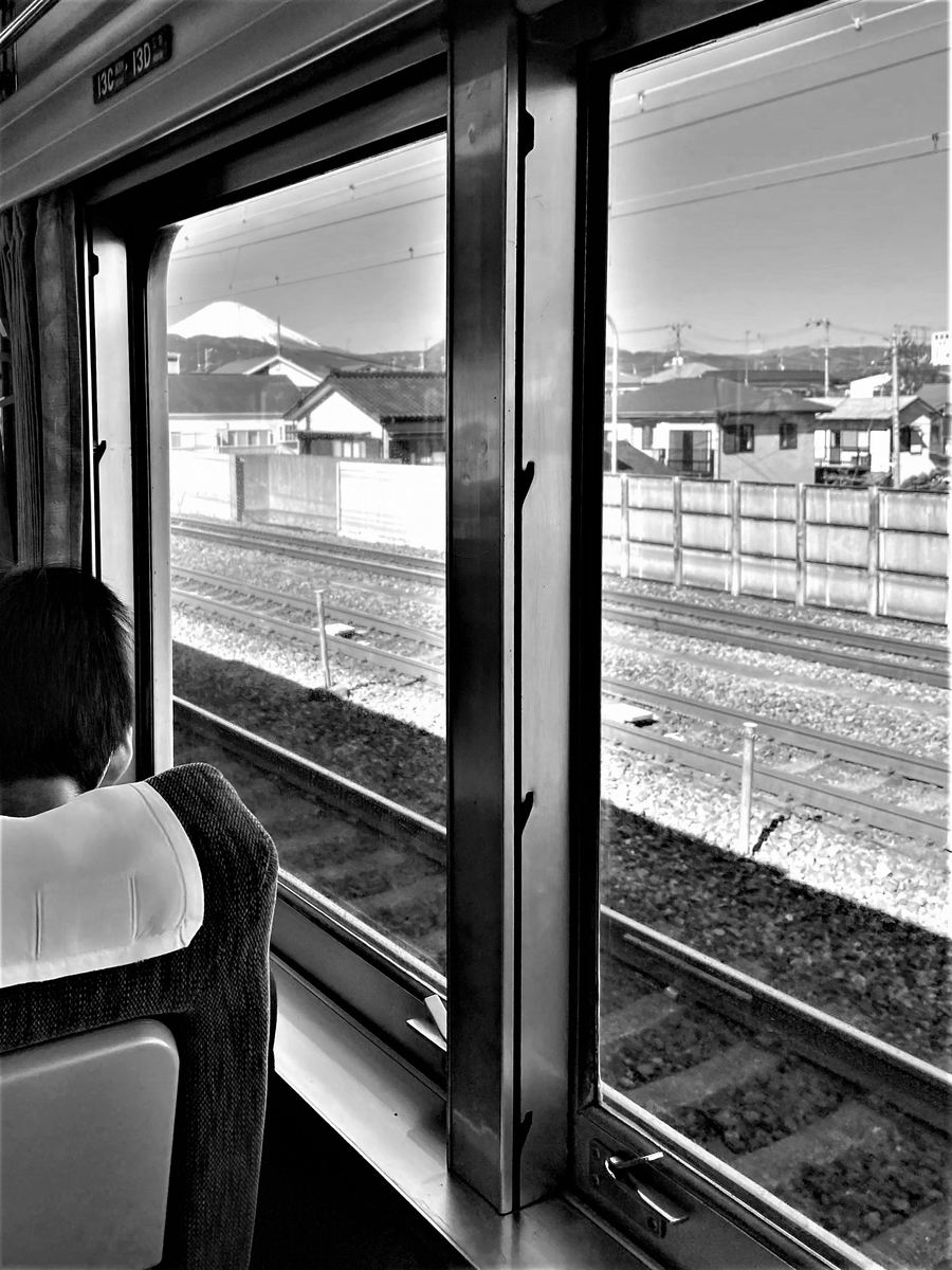 f:id:hakutsuru583:20210313141137j:plain