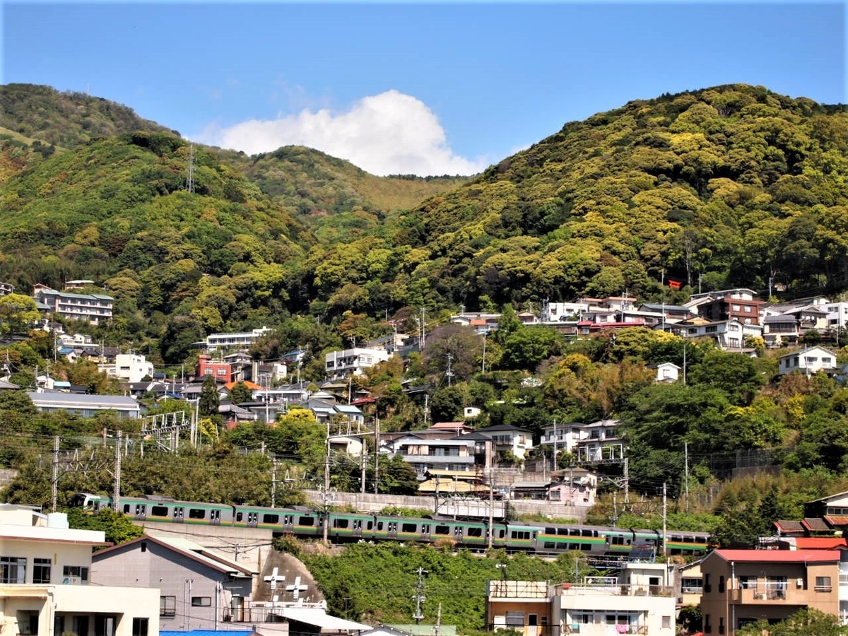 f:id:hakutsuru583:20210314214530j:plain